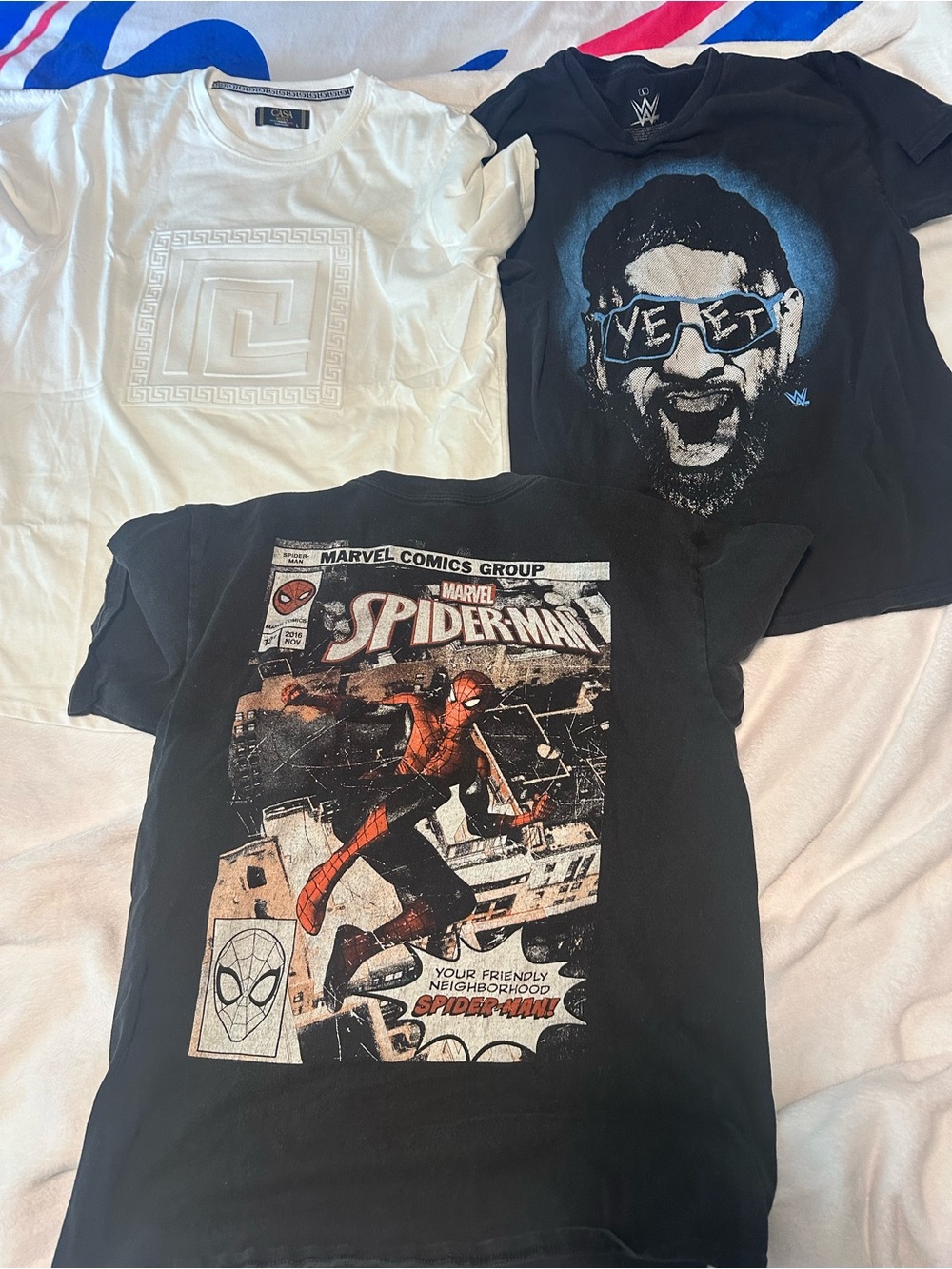 Lot of 3 Graphic Tees - Men's L/M WWe Yeet Spidey Marvel Casa Moda